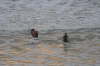 Bretignolles sur Mer