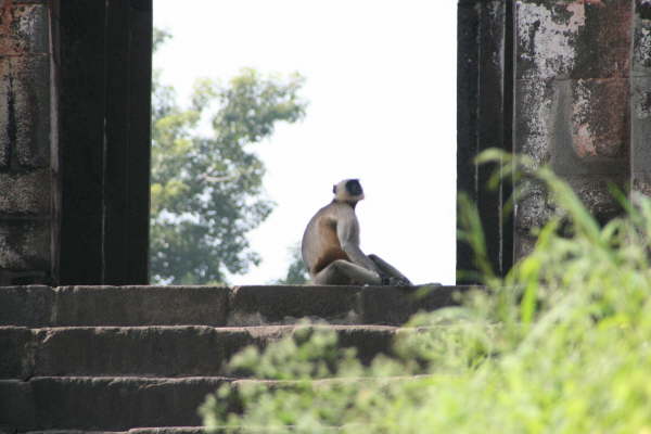 Fort Daulatabad