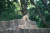 Fort Daulatabad