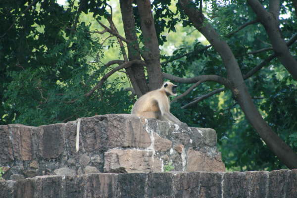 Fort Daulatabad