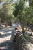 Denia
