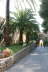 Denia