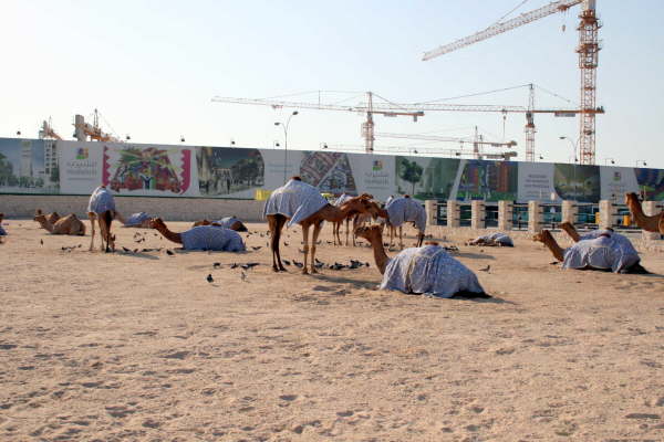 Doha