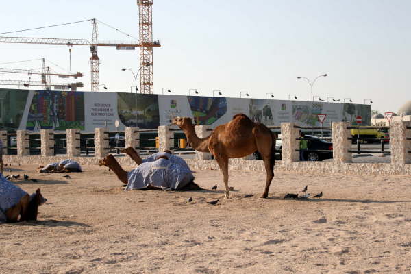 Doha