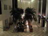 Januar 2007