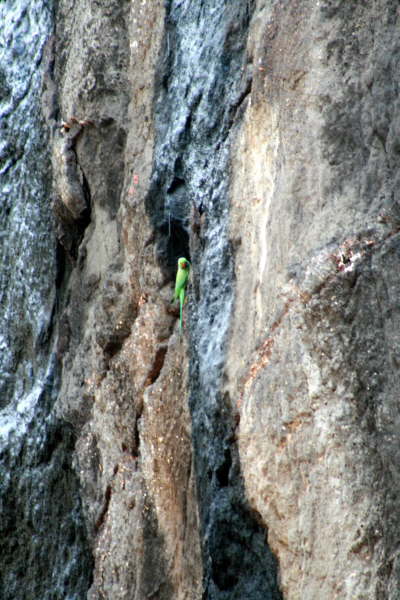 Elora Caves