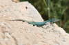 Formentera