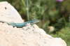 Formentera