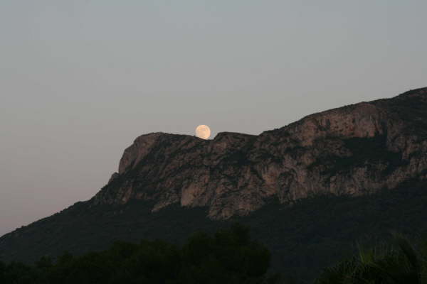 Gandia