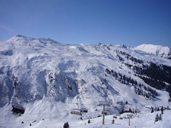 Gorthipol 2007