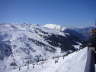 Gorthipol 2007