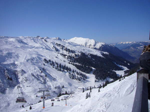 Gorthipol 2007