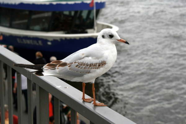 Hamburg