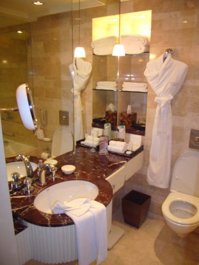 Hotel Indien 2010