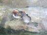 Mrz 2007