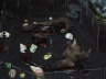 Mrz 2007