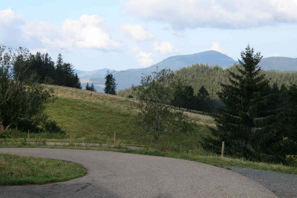 Schwarzwald