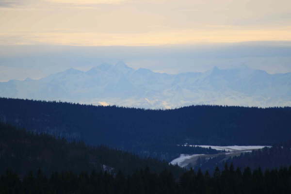 Schwarzwald