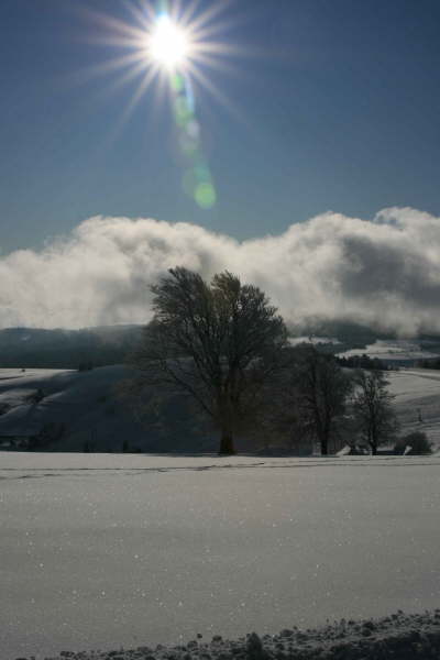 Schwarzwald