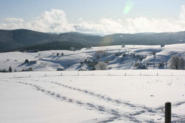 Schwarzwald