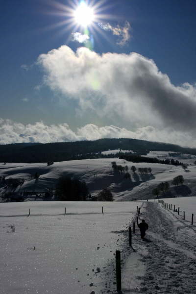 Schwarzwald