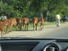 Impressionen Indien