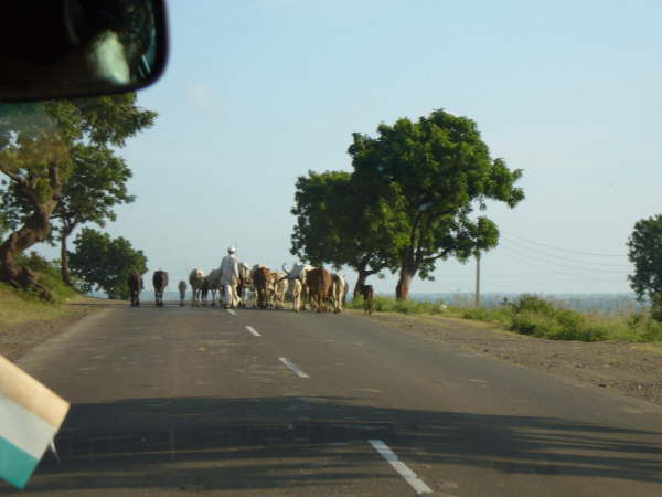 Impressionen Indien